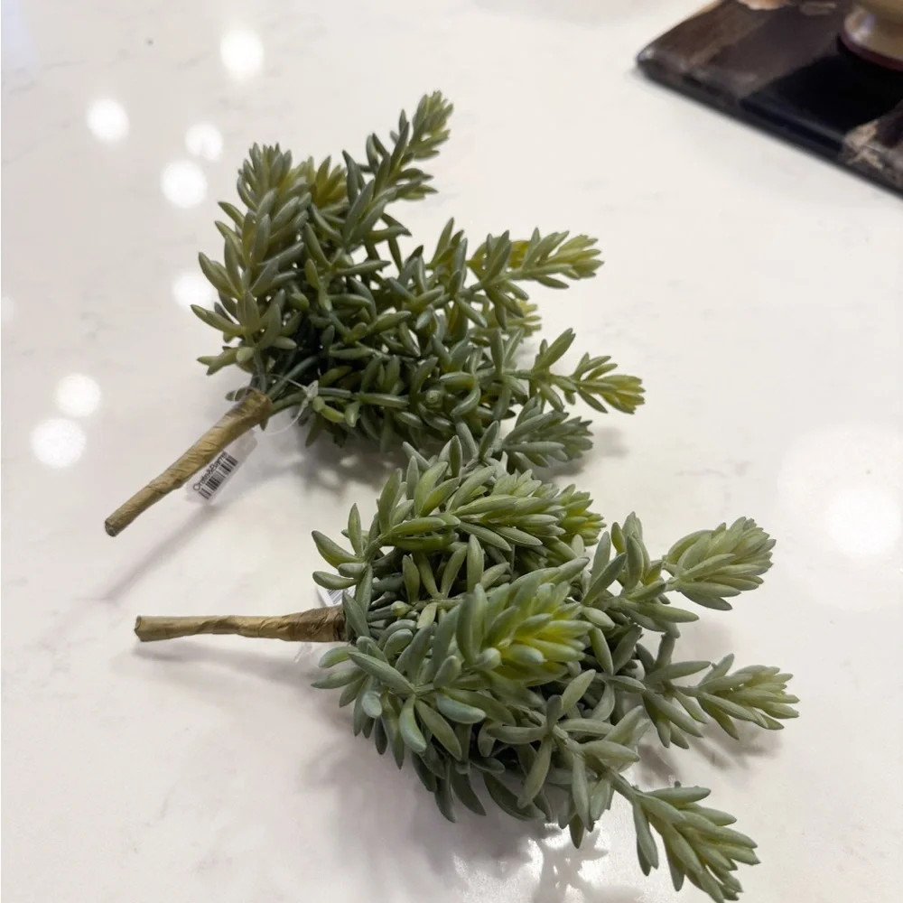 Crate Barrel Faux Greenery Sprigs (2) NWT